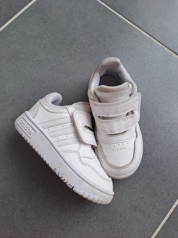 Baskets adidas 