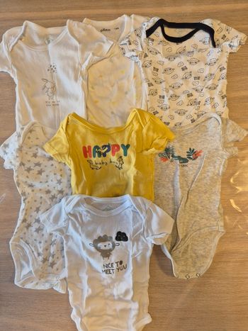 Lot bodies manches courtes