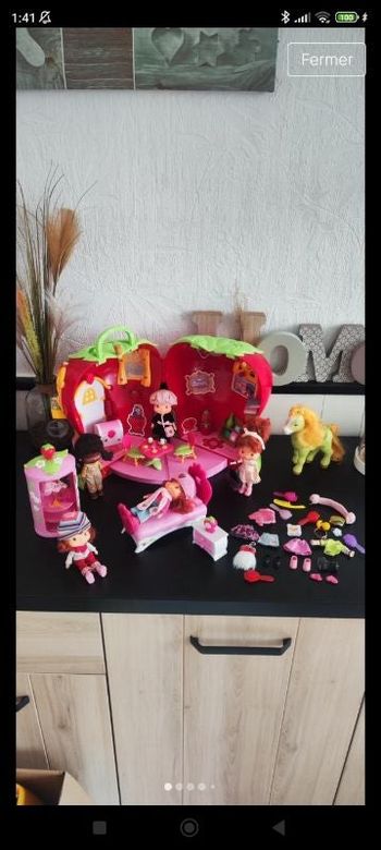Très gros lot maison et poupées et accessoires charlotte aux fraises collection vintage