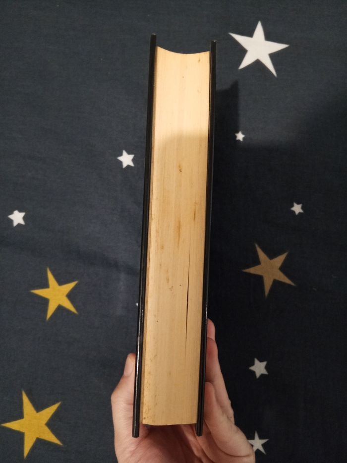 Livre (93) 📚 Dragon rouge - photo numéro 4