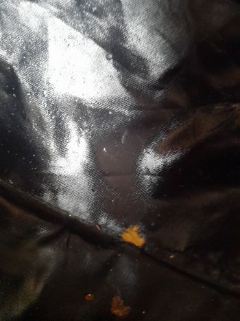 Poussette  ultra compact