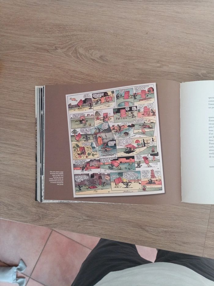 Star de chat et chats de stars - photo numéro 9