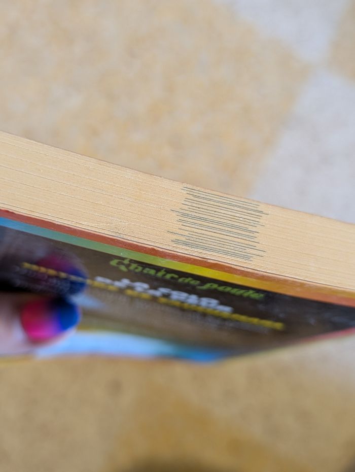 Livre chair de poule la colo de la peur - photo numéro 3