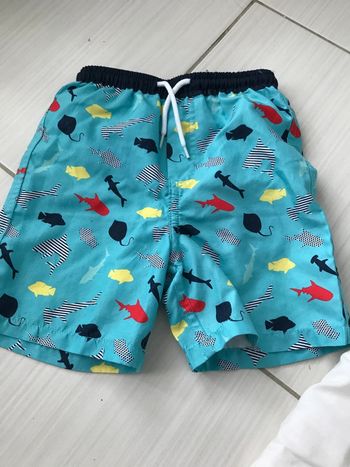 Short de bain requin