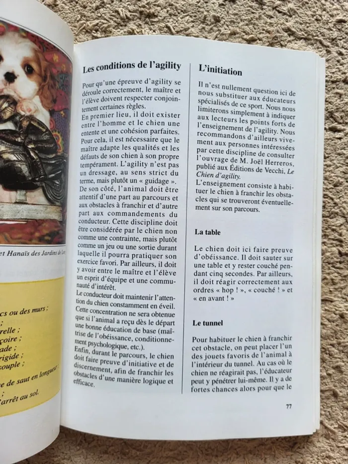 Livre chiens de race "Le cavalier King Charles" de Christian Limouzy - photo numéro 10
