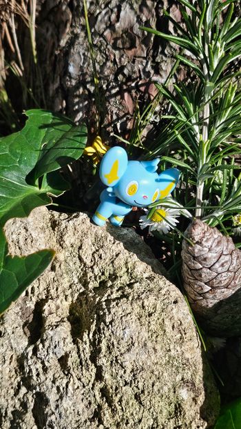Super figurine Pokemon Nintendo lixy 
