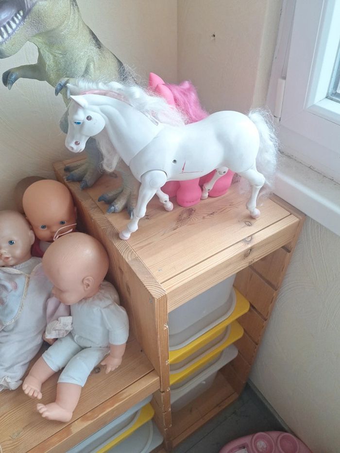 Poney - photo numéro 3