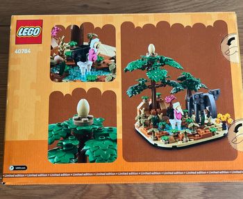 Lego  savane africaine