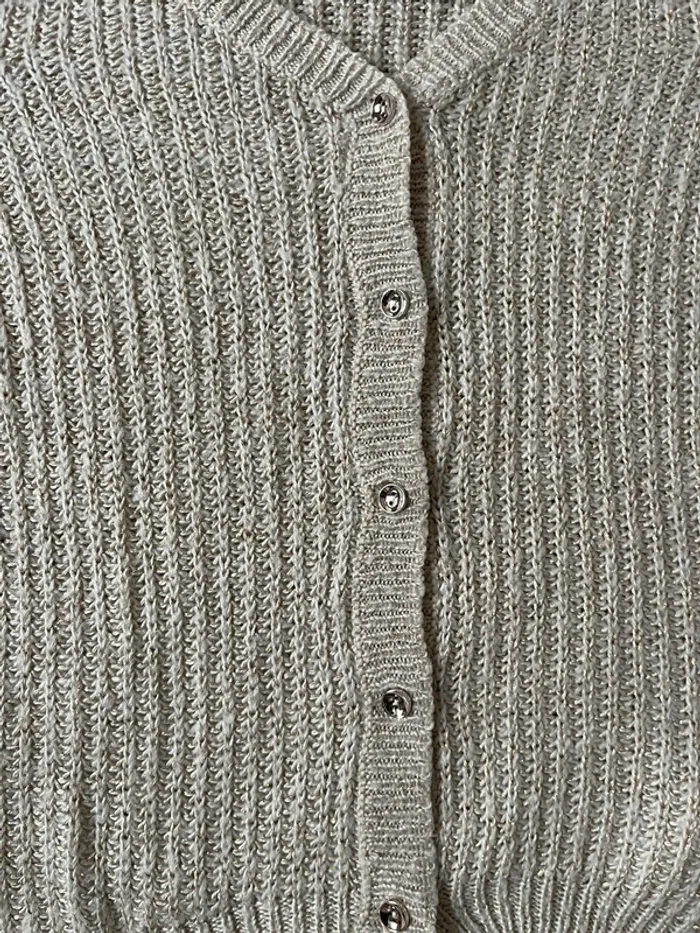 Gilets - photo numéro 5