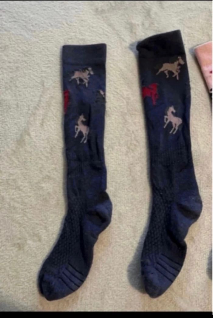 Équitation - photo numéro 2