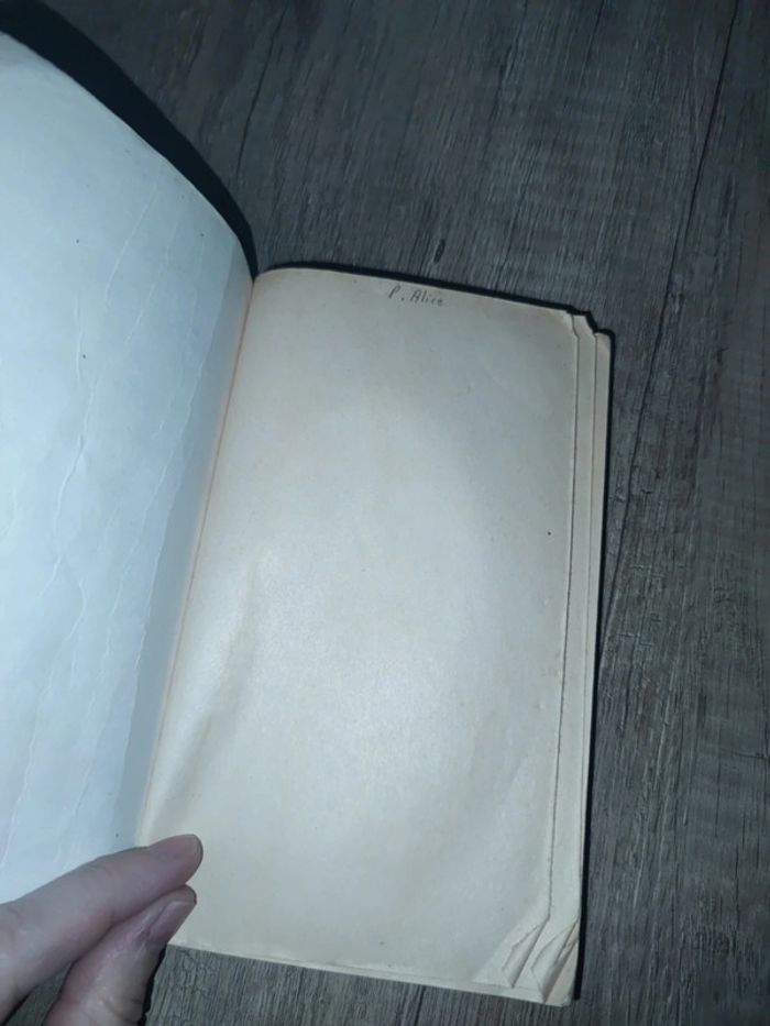 La promesse de l'aube - photo numéro 4