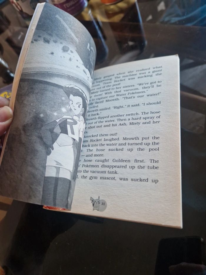 Livres pokemon vintage - photo numéro 16