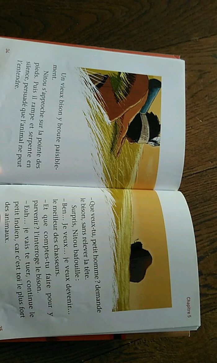 Livre nitou l'Indien - photo numéro 3