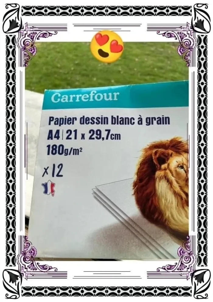 Feuille à dessin