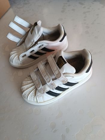 Basket superstar 23 1/2