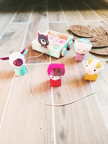 🐺Voiture pique nique peluche à scratch Le petit chaperon rouge avec formes à encastrer marque Lilliputiens