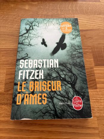 Roman le briseur d’âmes Sébastian Fitzek