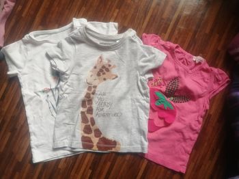 Lot de 3 t-shirts taille 18 mois 