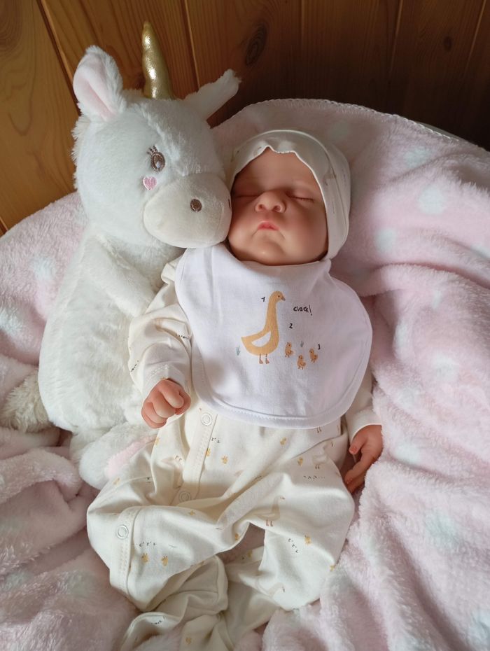 Baby reborn kit pip - photo numéro 3