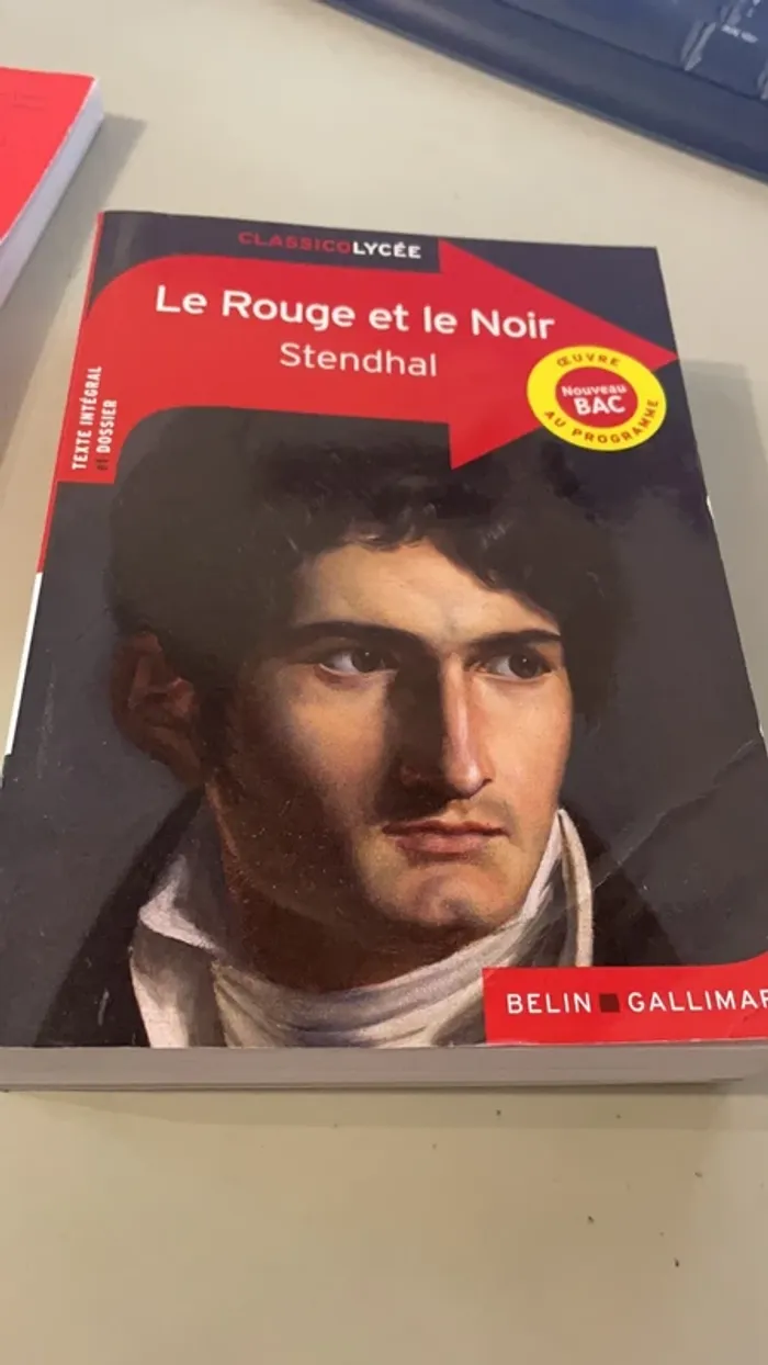 Le rouge et le noir (bac français) - photo numéro 2