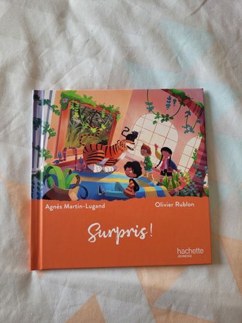 Livre surpris! Le musée magique