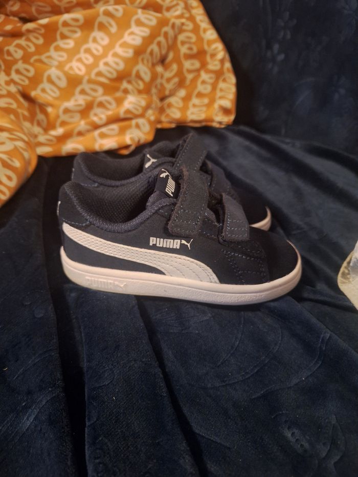 Puma - photo numéro 6