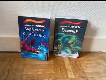 Lot de deux roman