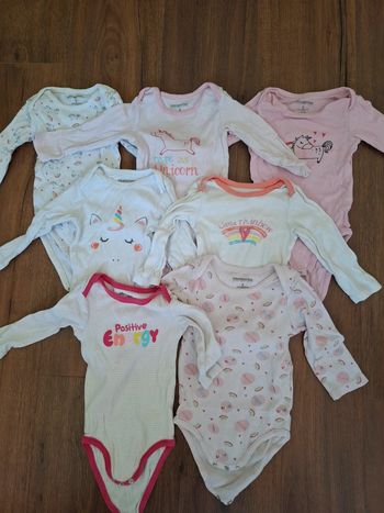 Lot 7 bodies