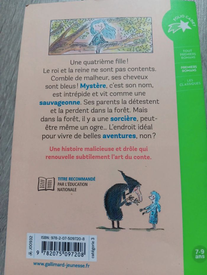 Livre Mystère de Marie Aude Murail Premiers romans Gallimard - photo numéro 3