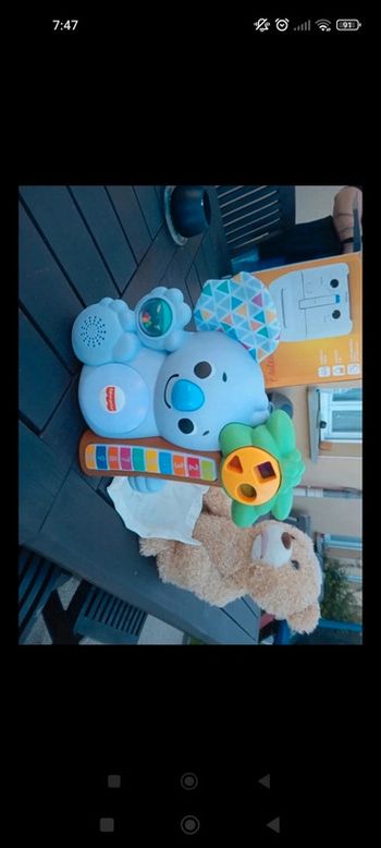 Koala musicale