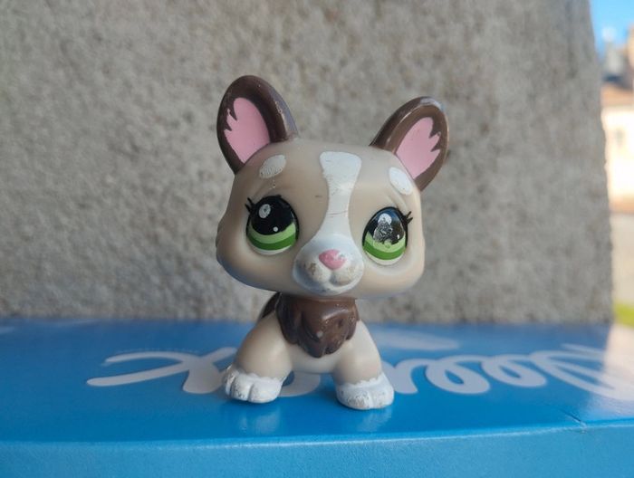 Petshop trotteur chien