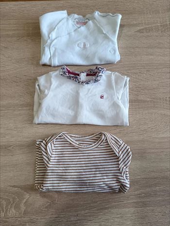 C44 Lot bodies absorba, Tao, obaidi 6 mois