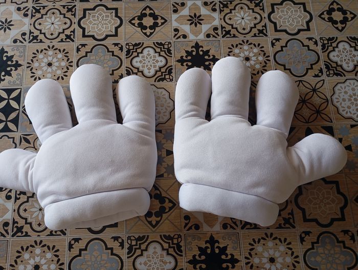 Mains de Mickey - photo numéro 2