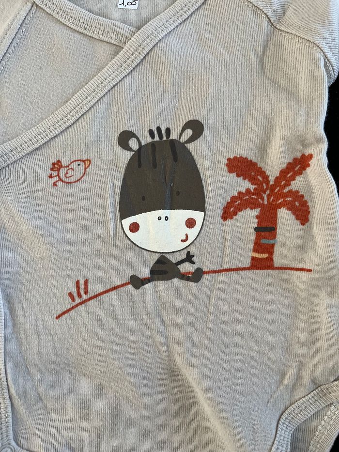 Bodie 3 mois - photo numéro 5