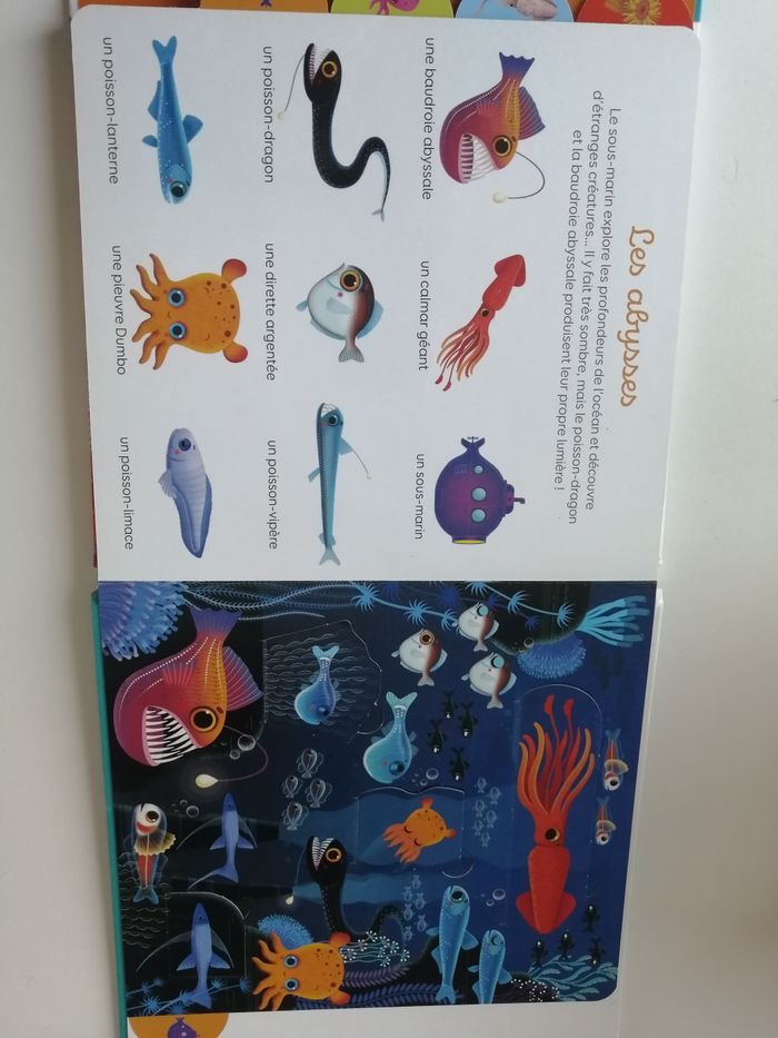 mon imagier à flaps - livre enfant - photo numéro 7