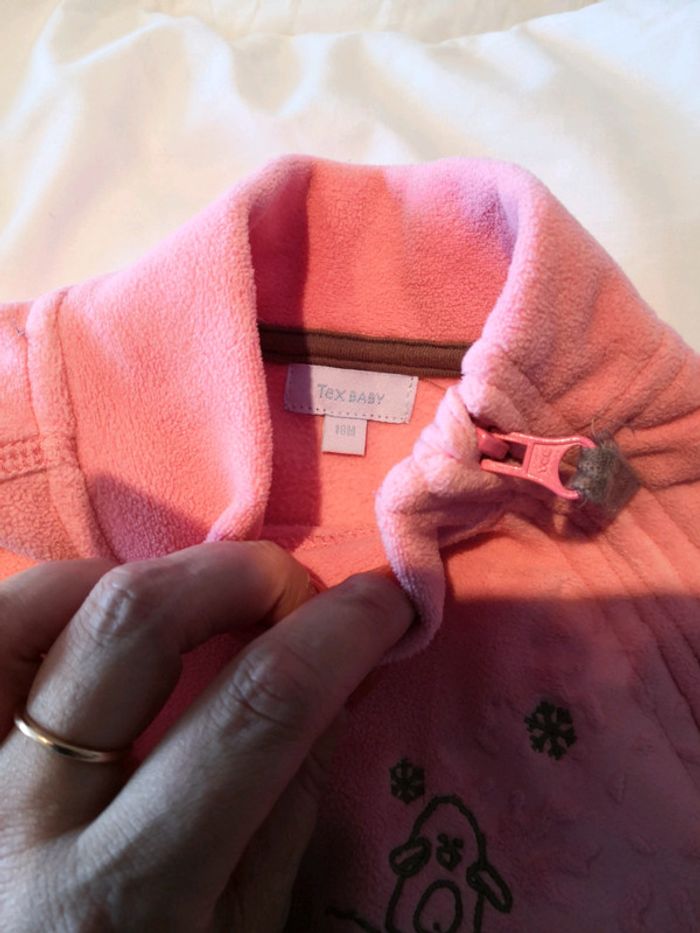 Polaire oiseaux - photo numéro 3