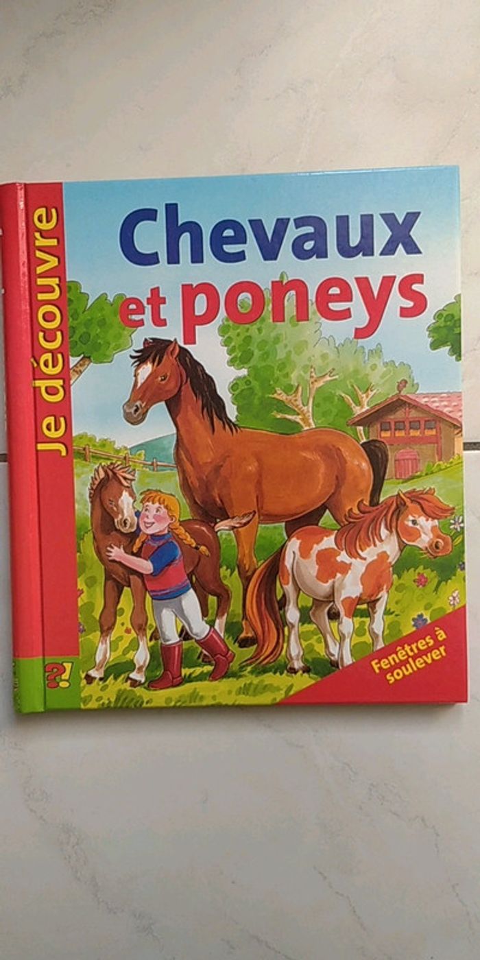 Chevaux et poneys