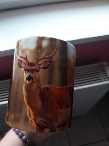 Mug cerf