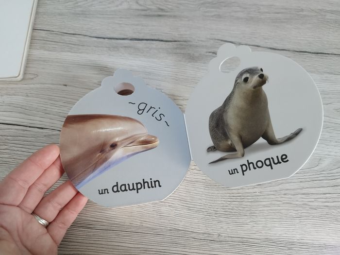Lot de 2 livres imagiers animaux et couleurs - photo numéro 7