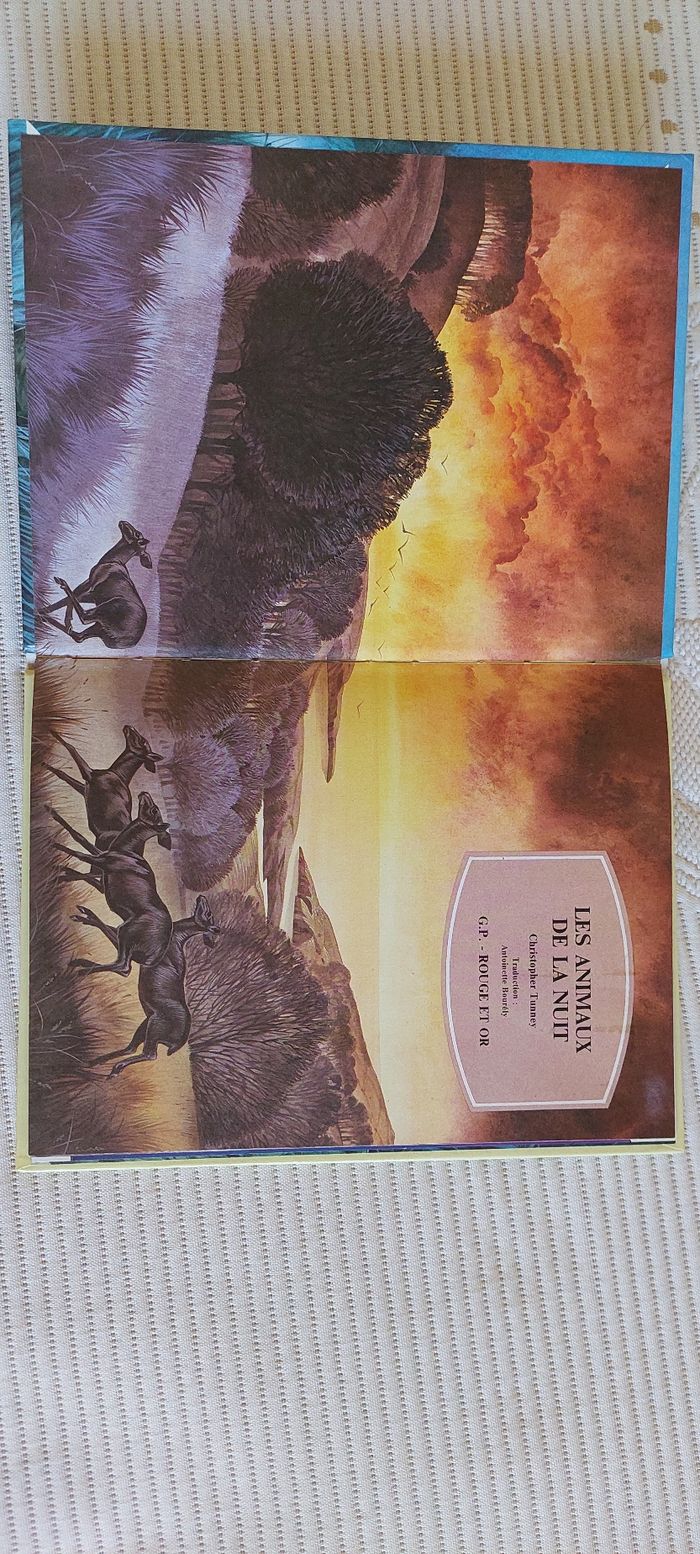 Livre enfant 'les animaux de la nuit' - photo numéro 2