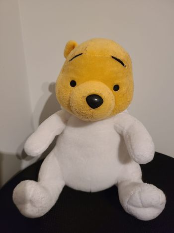 doudou winnie