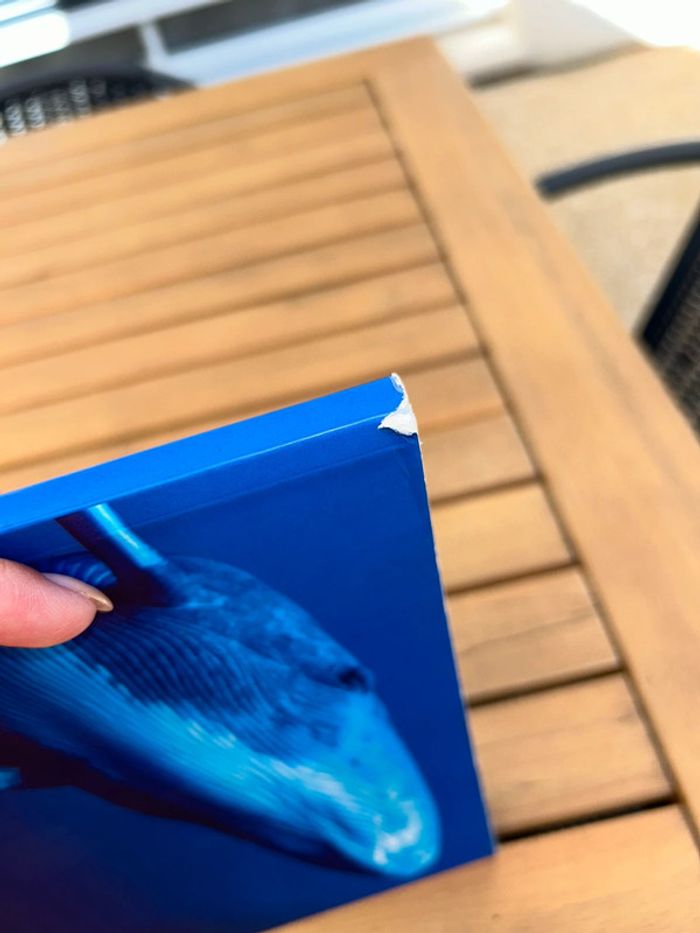 Livre incroyable cétacés - photo numéro 4