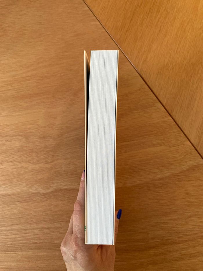 Roman Il nous restera ça - Virginie Grimaldi - photo numéro 3