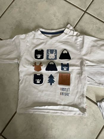 Polo obaibi