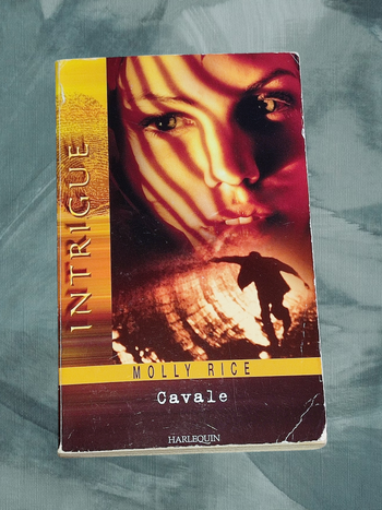 Livre : HARLEQUIN - 2 livres ( collection Intrigue )