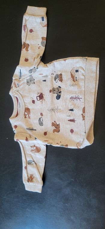 Pull forêt
