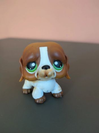 littlest petshop chien