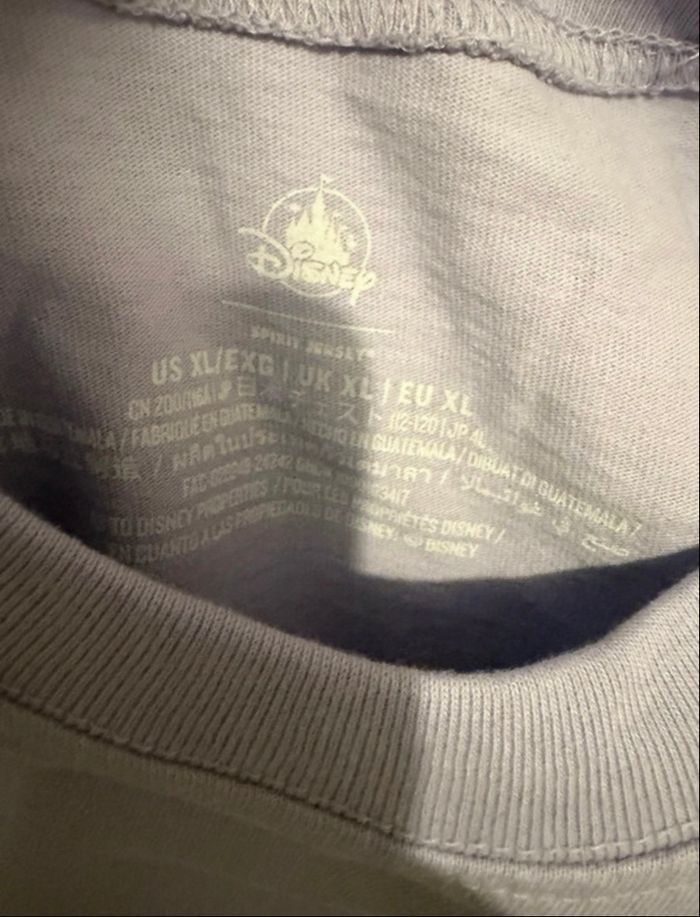Sweat pull jersey Spirit Disneyland Paris taille xl Disney - photo numéro 3