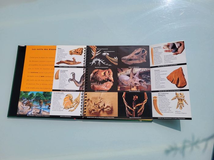 Livre animé de flaps Mi-oiseaux, mi-dragons, les dinosaures, Gallimard Jeunesse (47) - photo numéro 11