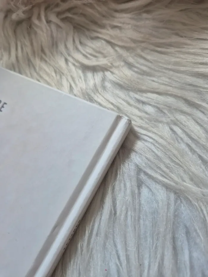 Livre le commerce des mille et une lettres - photo numéro 7